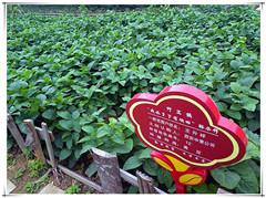 南宫NG28相信品牌的力量网址(中国游)官网