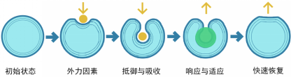 南宫NG28相信品牌的力量网址(中国游)官网